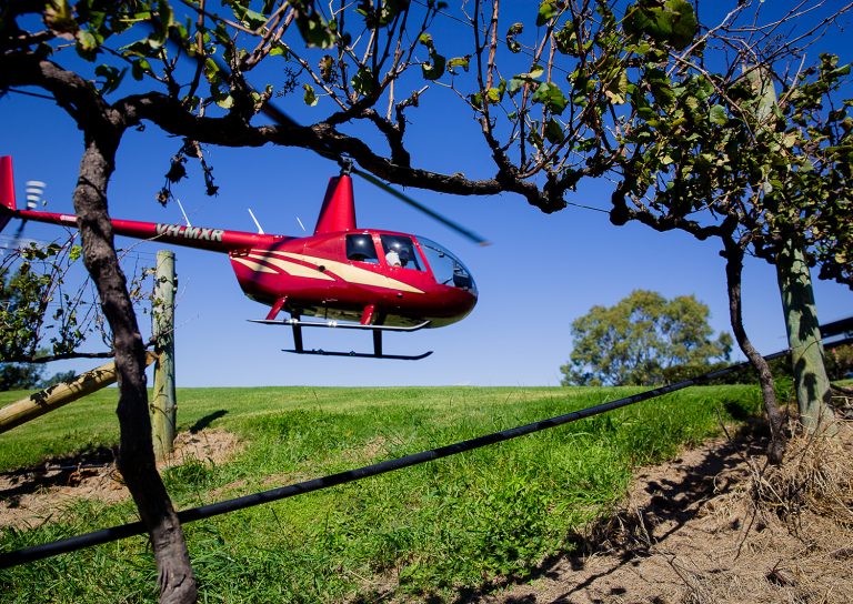 helicopter, wine tasting,